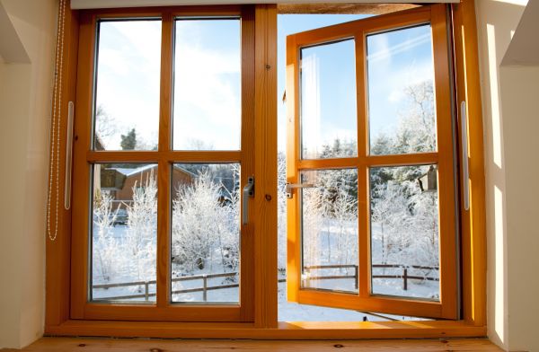 Double Window Replacement in Grapevine