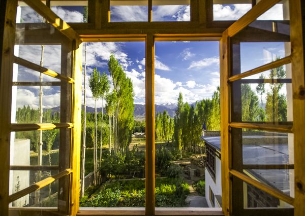 Wood Window Replacement in Grapevine